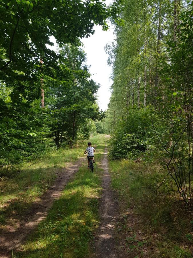 Lap Las Пельник Екстер'єр фото